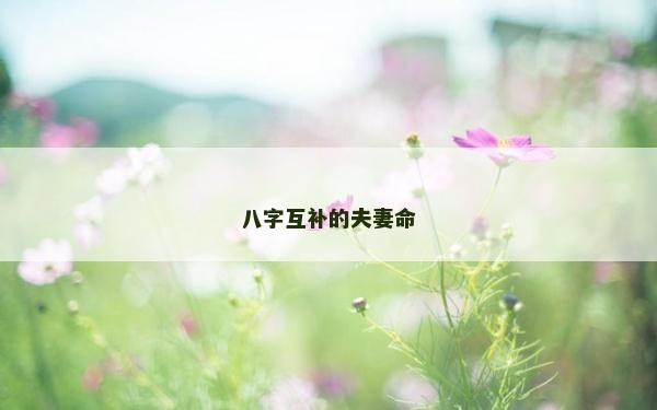 八字互补的夫妻命