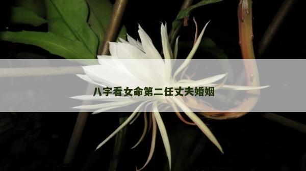 八字看女命第二任丈夫婚姻