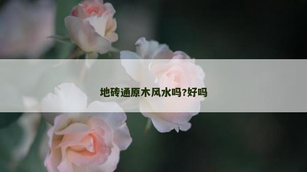 地砖通原木风水吗?好吗