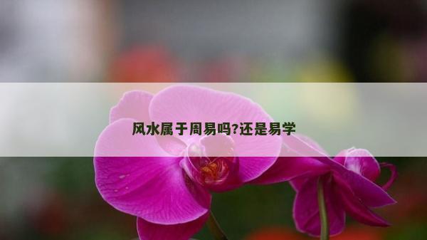 风水属于周易吗?还是易学
