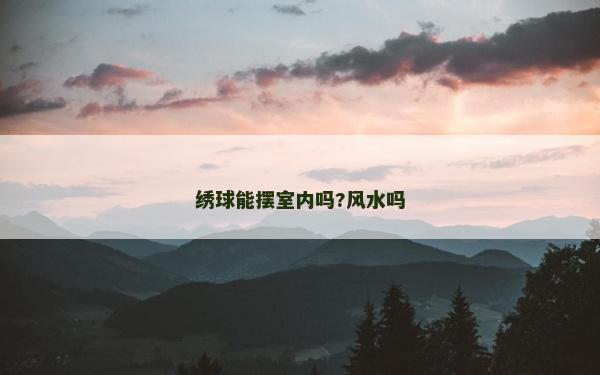 绣球能摆室内吗?风水吗