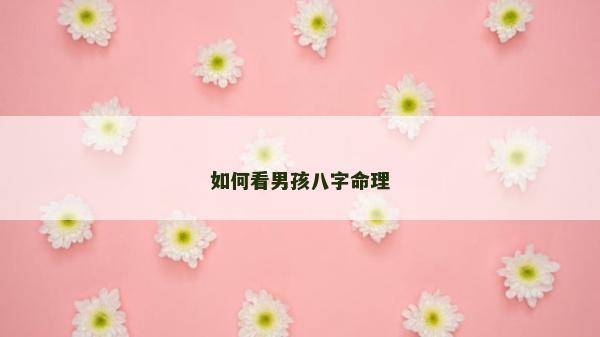 如何看男孩八字命理