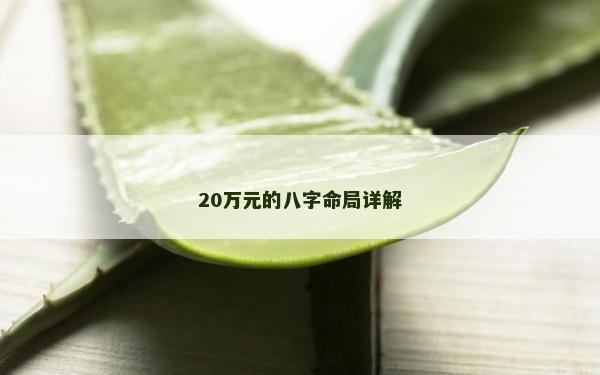 20万元的八字命局详解