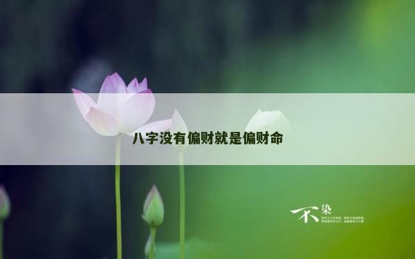 八字没有偏财就是偏财命