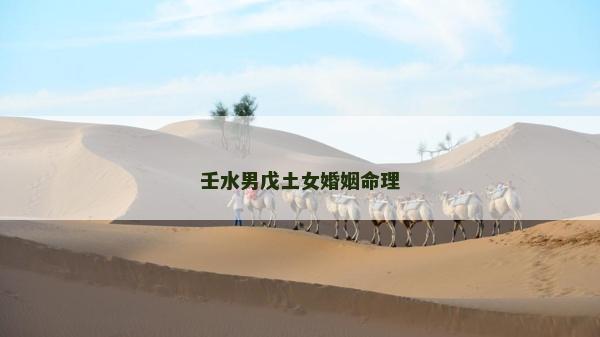 壬水男戊土女婚姻命理