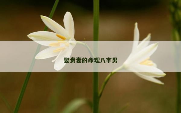 娶贵妻的命理八字男