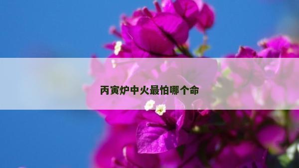 丙寅炉中火最怕哪个命