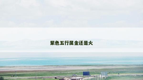 紫色五行属金还是火