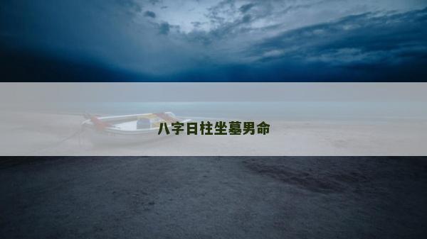 八字日柱坐墓男命