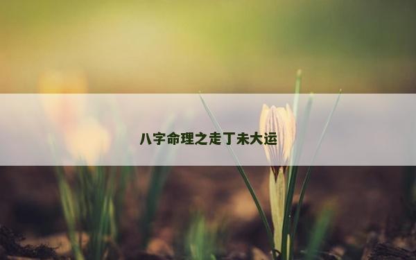 八字命理之走丁未大运