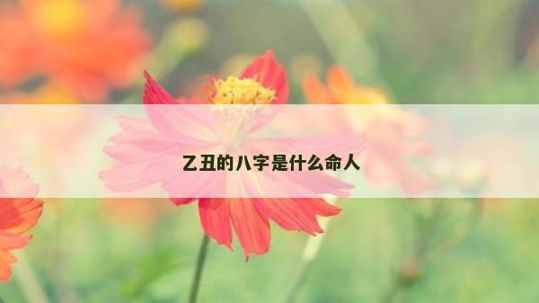 乙丑的八字是什么命人
