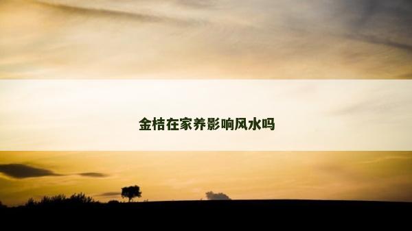 金桔在家养影响风水吗