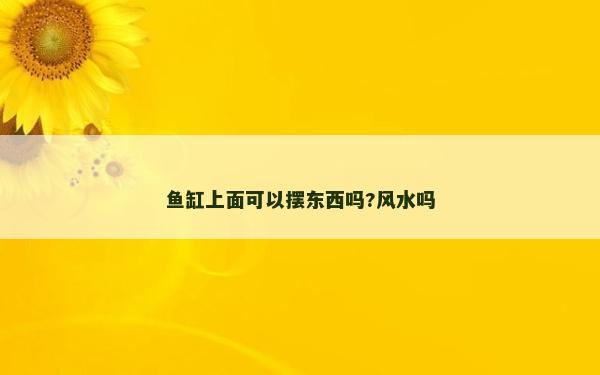 鱼缸上面可以摆东西吗?风水吗