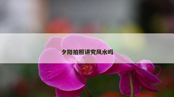 夕阳拍照讲究风水吗