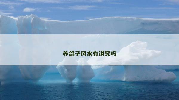 养鸽子风水有讲究吗