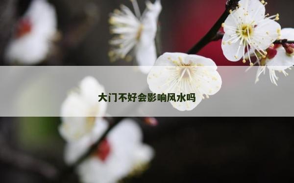 大门不好会影响风水吗
