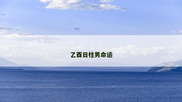 乙酉日柱男命运