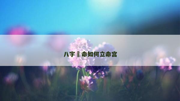 八字箄命如何立命宫