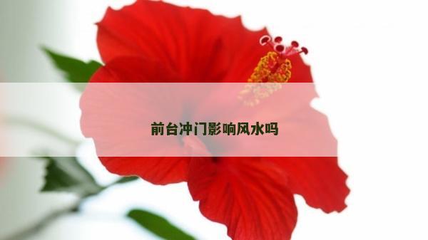 前台冲门影响风水吗