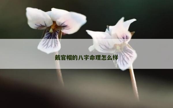 戴官帽的八字命理怎么样