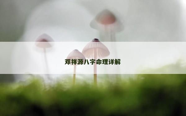 邓祥源八字命理详解