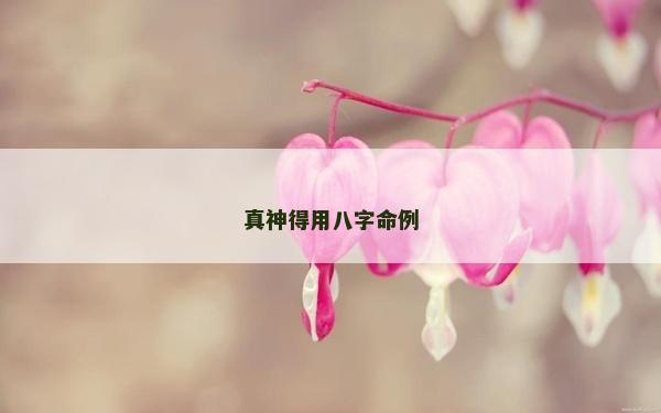 真神得用八字命例