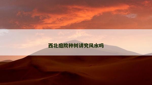 西北庭院种树讲究风水吗