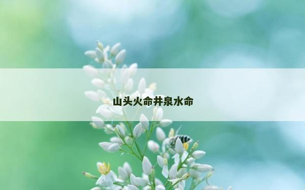 山头火命井泉水命