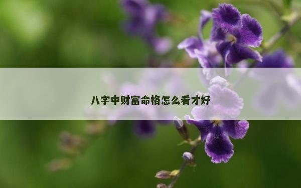 八字中财富命格怎么看才好
