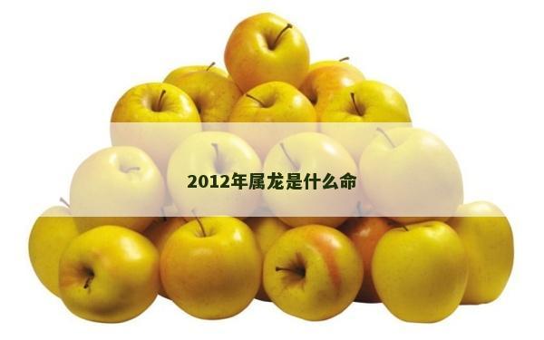 2012年属龙是什么命