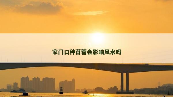 家门口种苜蓿会影响风水吗
