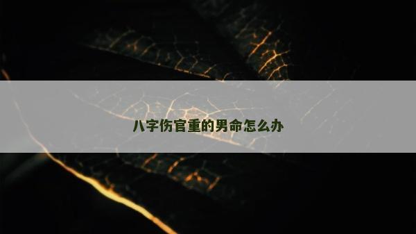 八字伤官重的男命怎么办