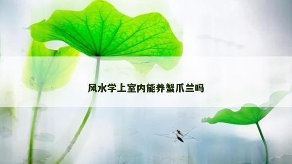 风水学上室内能养蟹爪兰吗