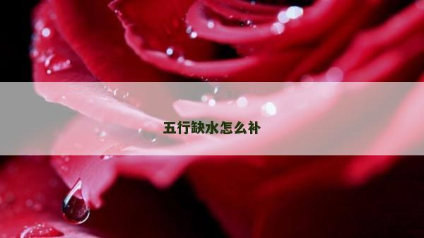 五行缺水怎么补