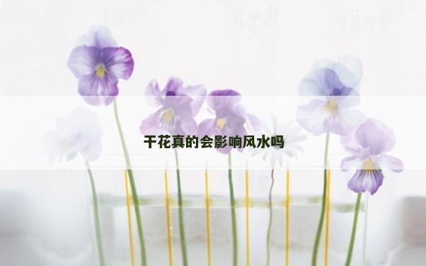 干花真的会影响风水吗