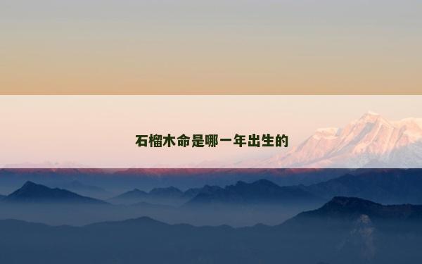 石榴木命是哪一年出生的
