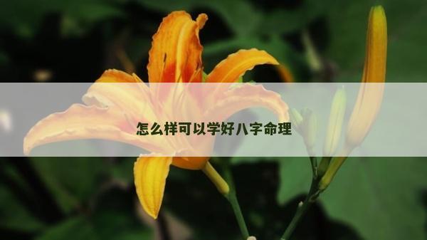 怎么样可以学好八字命理