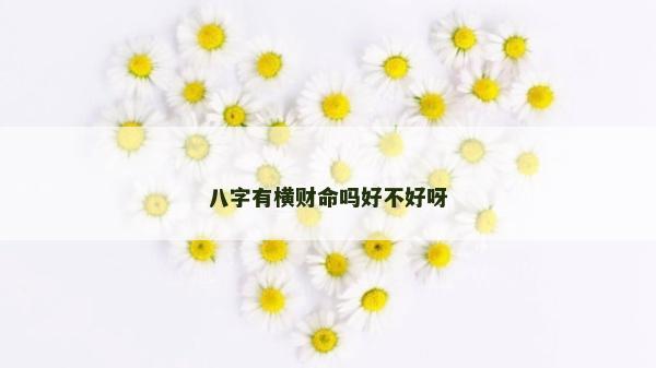 八字有横财命吗好不好呀
