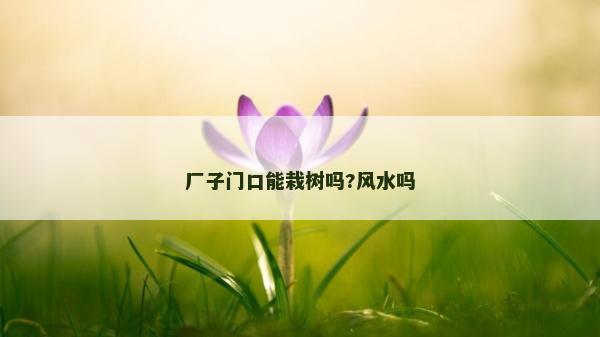 厂子门口能栽树吗?风水吗