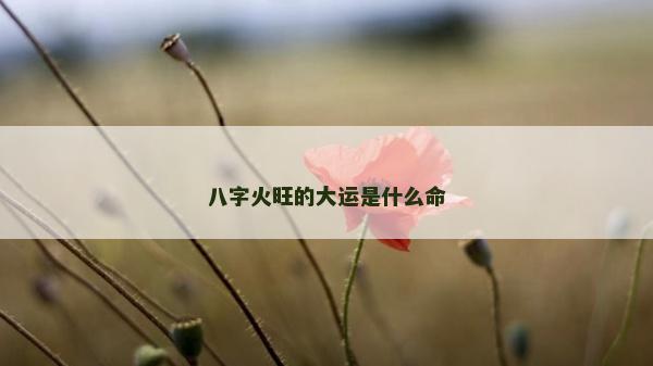 八字火旺的大运是什么命