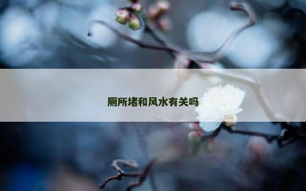 厕所堵和风水有关吗