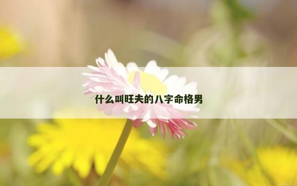 什么叫旺夫的八字命格男
