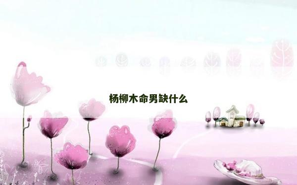 杨柳木命男缺什么
