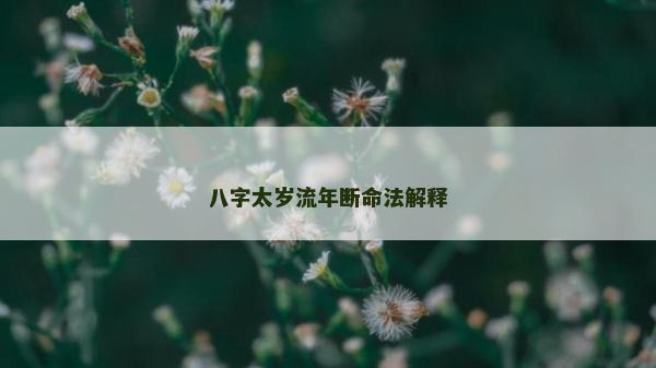 八字太岁流年断命法解释