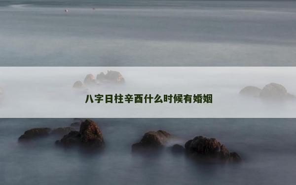 八字日柱辛酉什么时候有婚姻