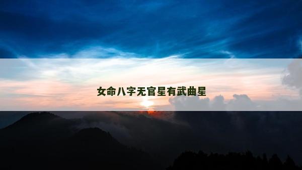 女命八字无官星有武曲星