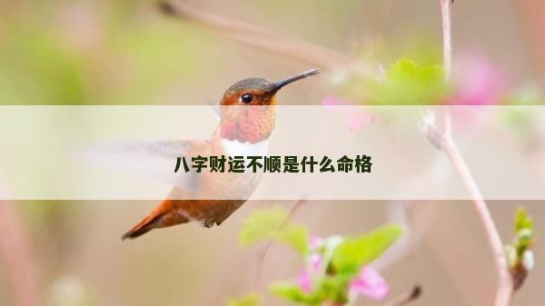 八字财运不顺是什么命格