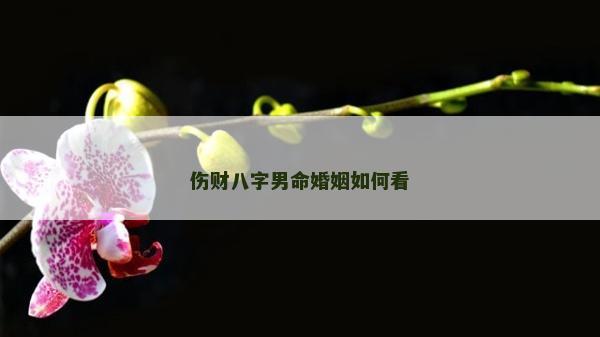 伤财八字男命婚姻如何看