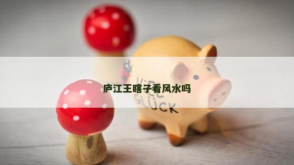 庐江王瞎子看风水吗