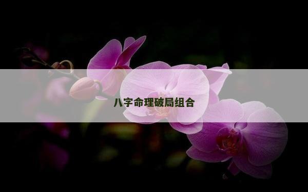 八字命理破局组合